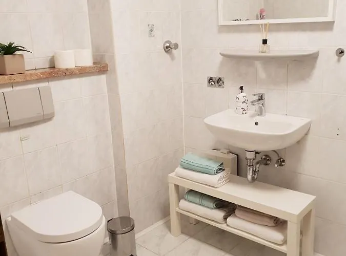 Appartamento In Naehe Flughafen Koeln Bonn *